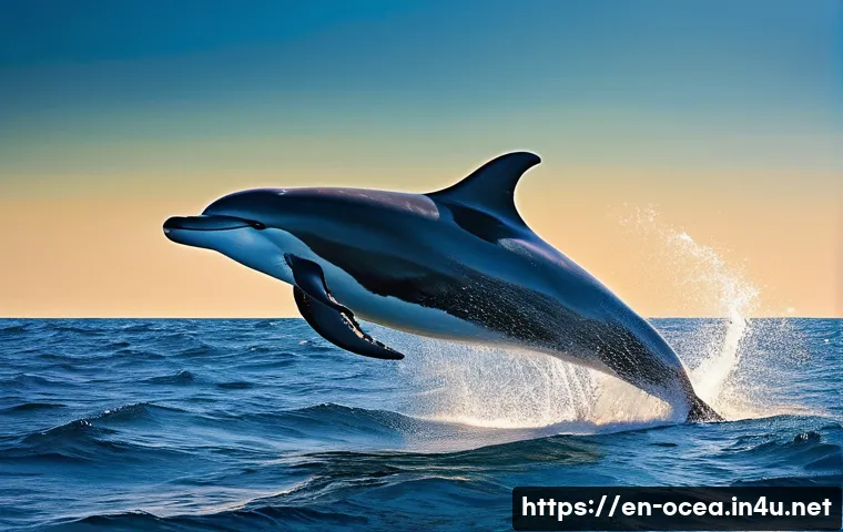 해양생물 종다양성과 진화 관련 이미지 1