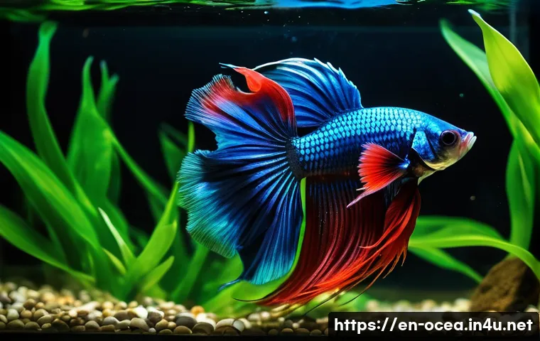 어류 행동 연구와 생태계 영향 - A vibrant underwater scene depicting a male betta fish aggressively flaring its iridescent fins, sho...