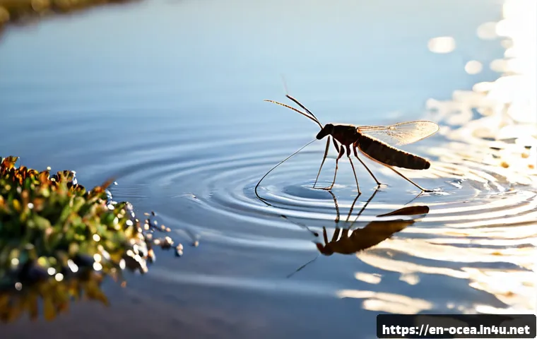 해양 곤충과 생태학적 역할 - Photorealistic macro scene of a sea skater insect gliding across a calm coastal tide pool, long deli...